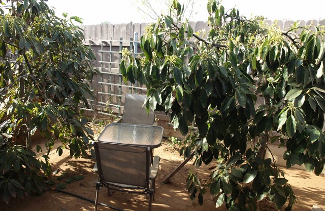 Modern Luxury Guest House- Near Beaches, Bay, UCSD, Hospitals!