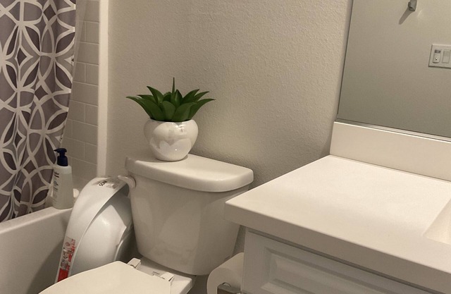 Modern Luxury Home in the heart of San Diego/ 5 mins to Sesame Theme Water Park