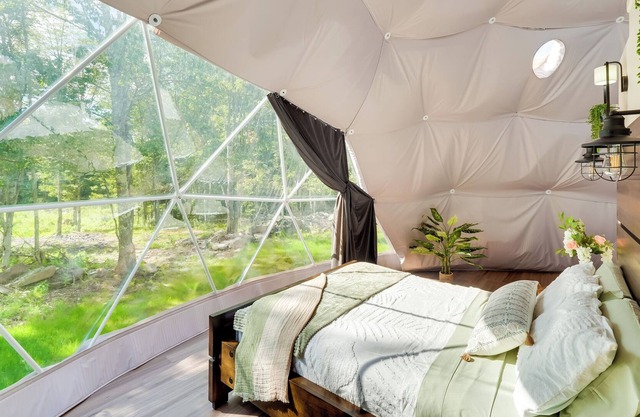 Modern ‘Nature Lovers’ Geodome w/ Deck & Grill!