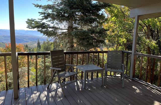 Modern Park City Ski Cabin