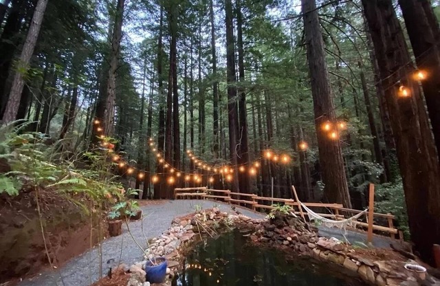 Modern Redwood Retreat near Half Moon Bay & Silicon Valley