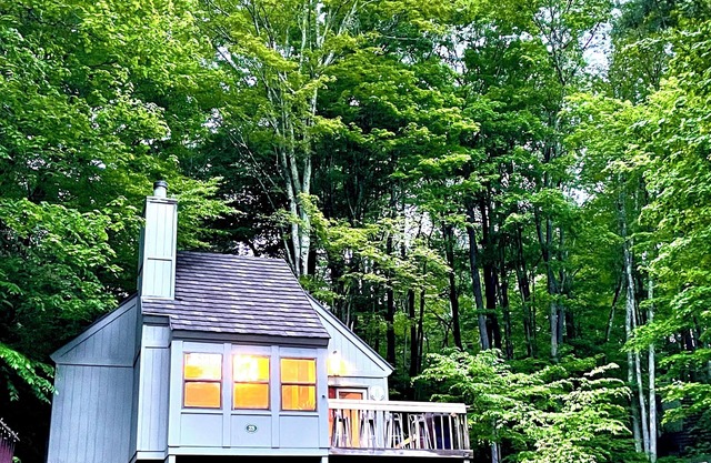 Modern Vintage Cabin Retreat