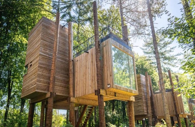 Mystic Tree Loft Retreat von Belvilla