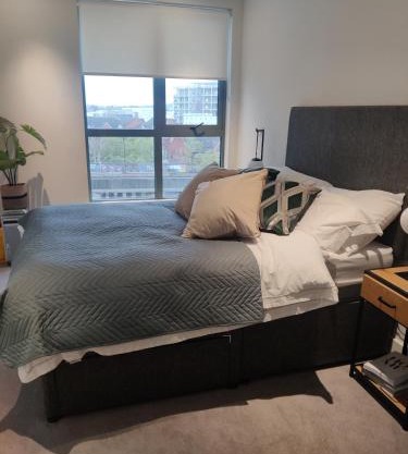 Modern room