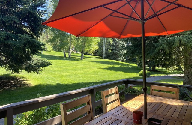 Moderne rustikale Wohnung im Herzen des legendären Sun Valley