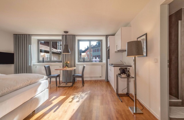 Modernes Einzimmer-Appartement Nr. 3 mitten im Stadtzentrum mit WLAN