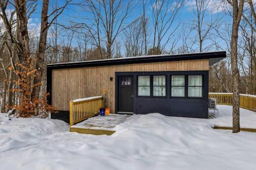 Modern Tiny Home Wraparound Deck
