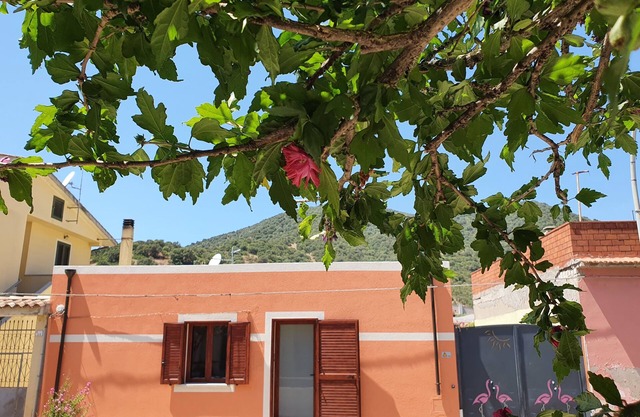 Modern villa with garden in charming South Sardinia