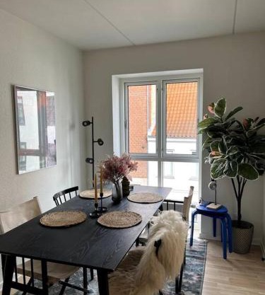 Moderne lejlighed i hjertet af Odense C