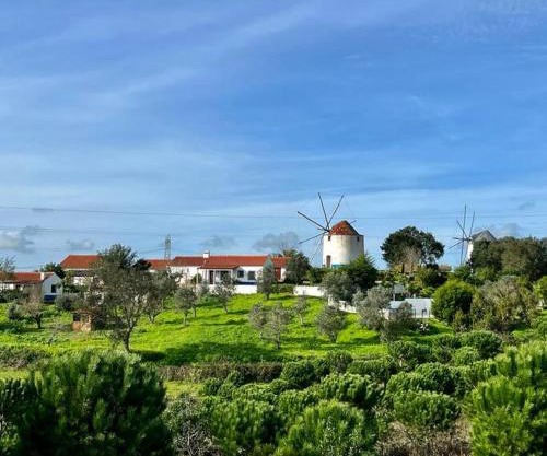 Moinhos do Paneiro