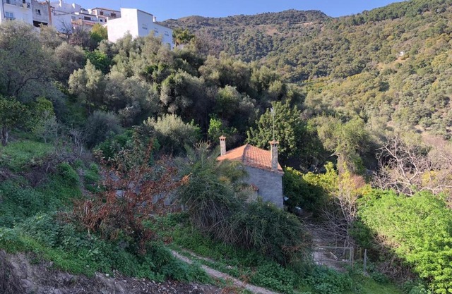 Molino de Santos
