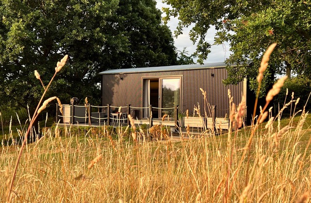 Molly, nestled in a peaceful farm in Marsham, North Norfolk