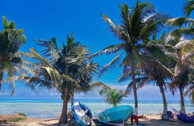 Monarca es Tu Departamento en Mahahual. Selva, mar y Confort en el Caribe
