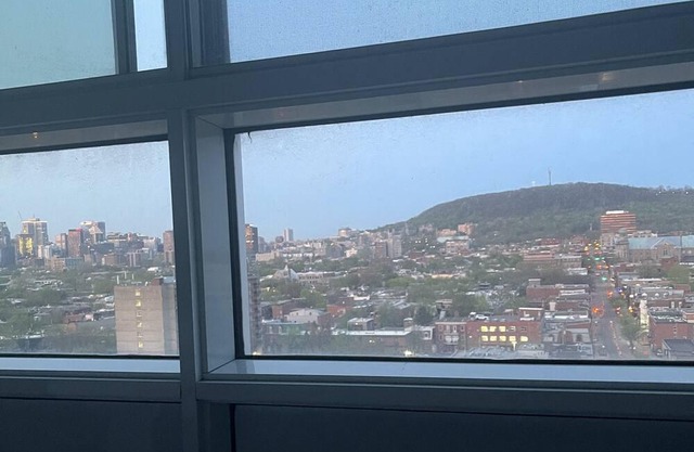 Mont Royal and Parc la Fontaine view