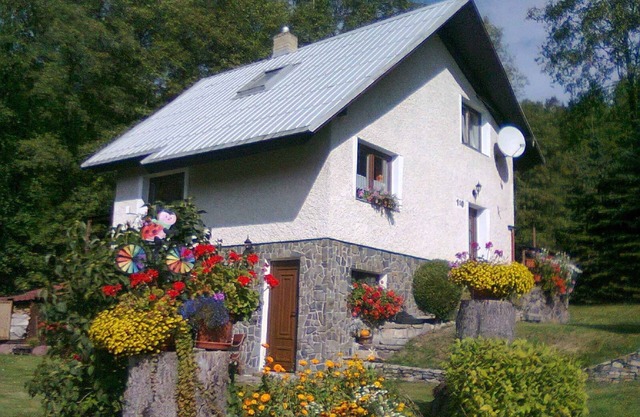 Berghütte im Wald mit Hinterteil