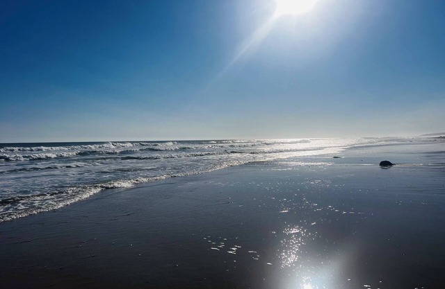 Montauk Beach & Country “Cabin”