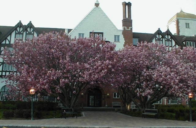 MONTAUK MANOR-DELUXE STUDIO WOHNUNG