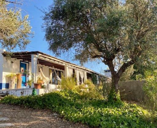 Monte Courela: piscina, natureza e paz no Alentejo