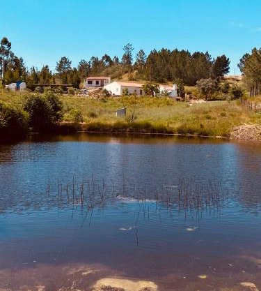 Monte das Raizes