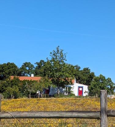 Monte das Romas