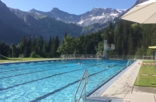 Ferienwohnung Monte Grappa in Adelboden - 2 Personen, 1 Schlafzimmer