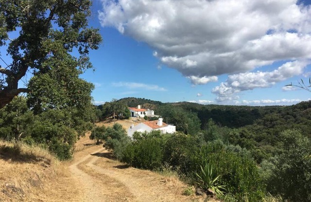 Monte São Francisco