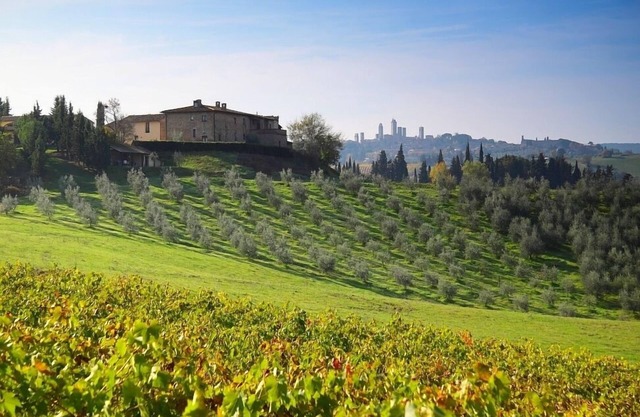 Montegonfoli 1 "THE ONE", Premium Apartment in San Gimignano mit Terrasse
