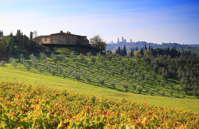 Montegonfoli 3: Wunderschöne Wohnung in San Gimignano mit Pool, Patio & Panorama
