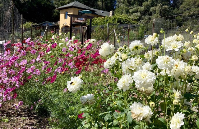 Peaceful Corralitos Farm Retreat! Free Monterey Bay Aquarium tickets included.