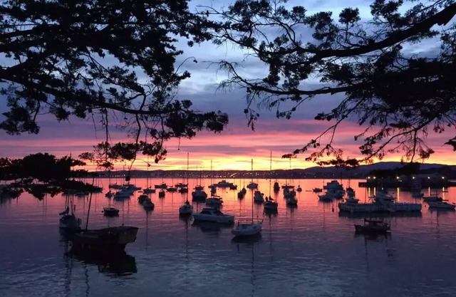Monterey Family Living