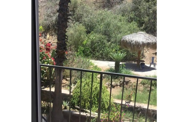 An Oasis by the river & Beach in Baja Ca Sur