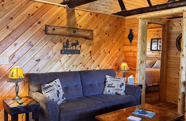 Moonlight Ridge-Cabin on 16 Mile Lake, Quiet Setting, Kayaks & Canoe