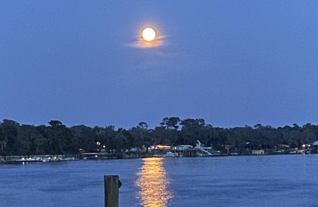 Moonlite Retreat- Waterfront home in Welaka, Florida