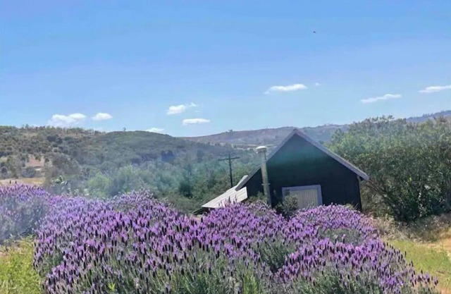 Moonrise Cottage at Buena Terra Lavender Farm