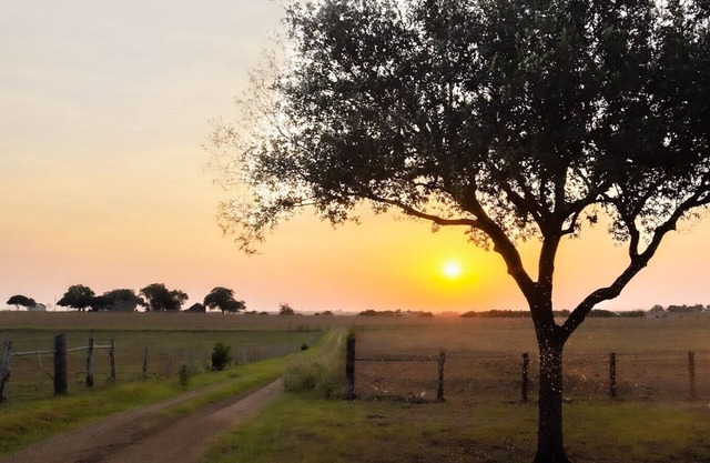 MoonShiner Farm - Shiner TX