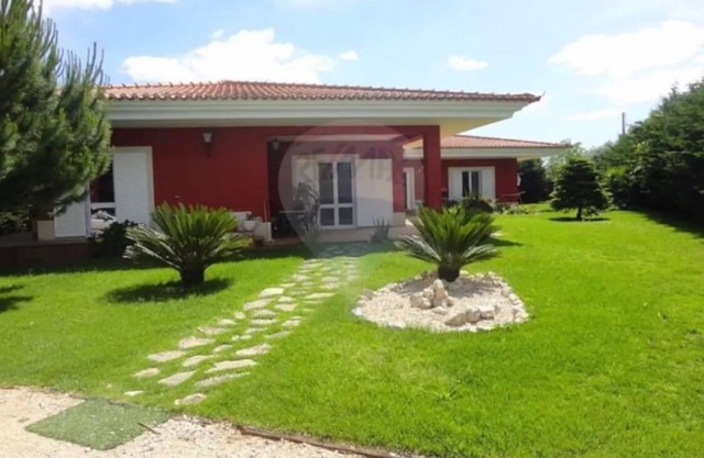 Moradia Family & Vila Arte Équestre