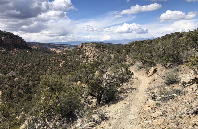 Morning Coffee with the quail. Great views, excellent trails, and work friendly