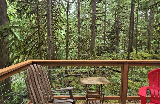Moss Top Cabin: cozy off-grid retreat