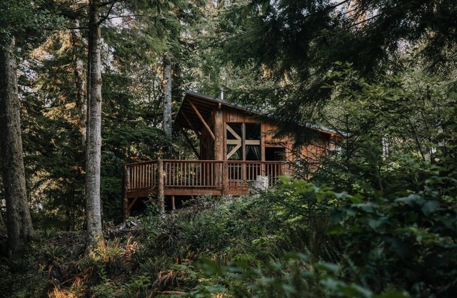 Mossquatch Resort - Cabin 1 Upgrade your camping experience!