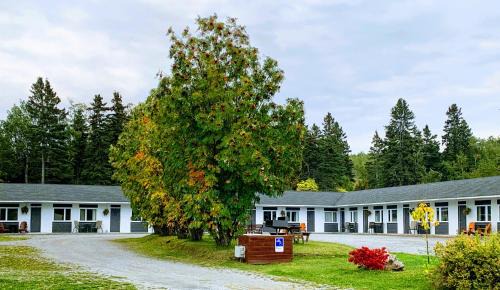 Motel de L'Anse et Camping Rimouski