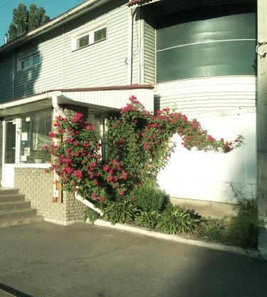 motel Pid Strihoyu
