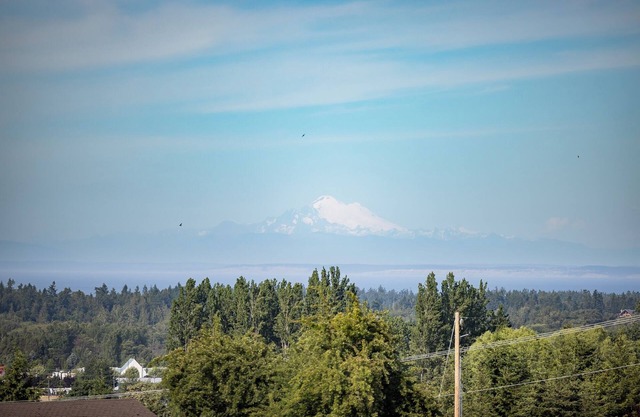 Mountain and Water View at Charming 2-bedroom Retreat in Sequim