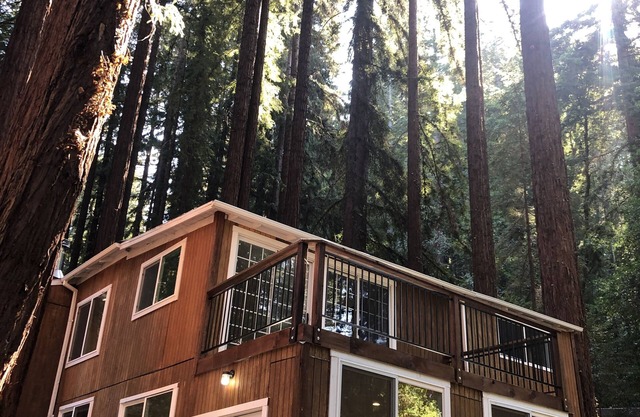 Mountain cabin w/king suite in the Redwoods of the Santa Cruz Mountains