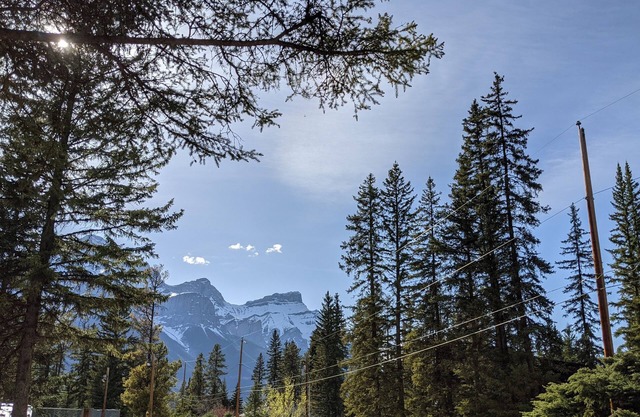 ❤Mountain Chalet on the Very Edge of Banff Forests