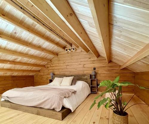 Mountain Eco Shelter 5