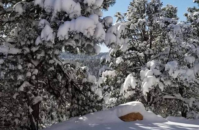 Mountain Escape for Relaxation, 20 Minuten zum ABQ, 40 Minuten zu den Pisten