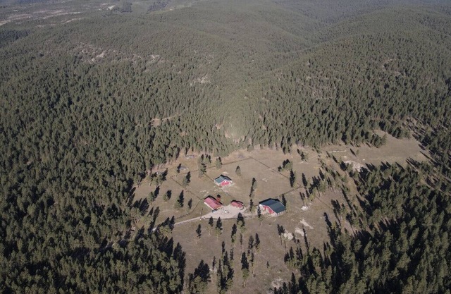 Mountain log cabin, horse barn/fenced paddocks.Hunting, hiking,horseback riding