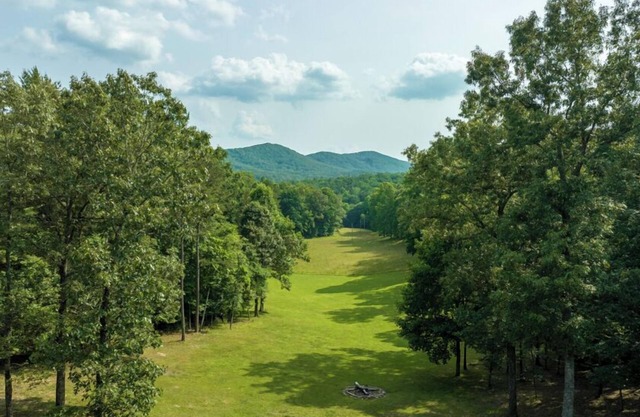 Mountain Meadow Lodge - Pet Friendly | Large Private Yard | 4 King Beds