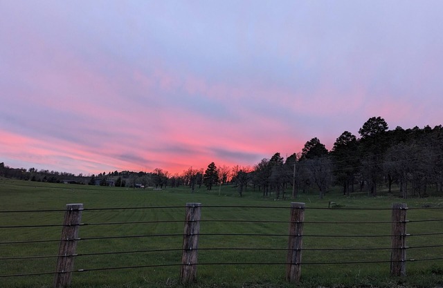 Mountain Meadows Homestead / Hidden Gem Near Deadwood