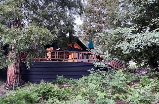 Mountain mod cabin w/ EV charging - Fernwood